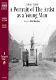 A Portrait of the Artist asa Young Man(젊은 예술가의 초상) 2