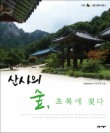 산사의 숲 초록에 젖다