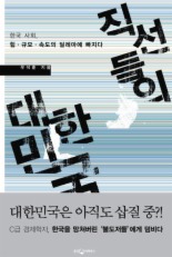 직선들의 대한민국 : 한국 사회, 속도·성장·개발의 딜레마에 빠지다