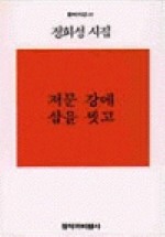 저문 강에 삽을 씻고(창비시선 16)