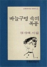 바늘구멍 속의 폭풍(문학과지성 시인선 151)
