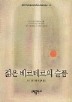 젊은 베르테르의 슬픔(BESTSELLER WORLDBOOK 19)
