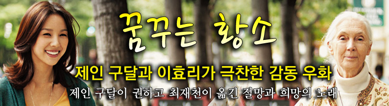 꿈꾸는 황소